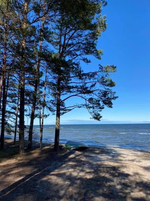 Lovely Apartment By The Sea. Ķesterciems 外观 照片